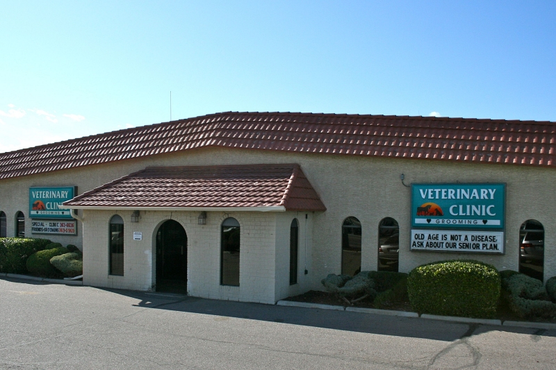 Special Friends Veterinary Clinic & Grooming in Aurora, CO